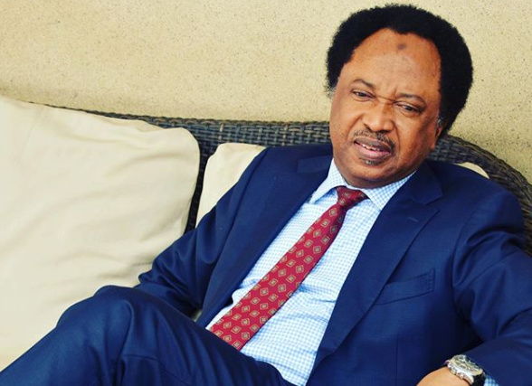 Shehu Sani - Kaduna looting