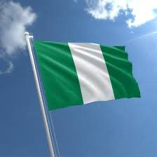 Nigeria's National Day of Survival